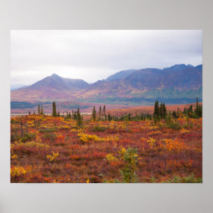 Nationalpark Denali, Alaska im Landschaftlichen He Poster