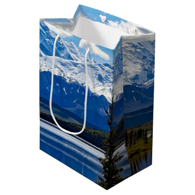 Nationalpark Denali, Alaska Mittlere Geschenktüte (Vorderseite Schrägansicht)