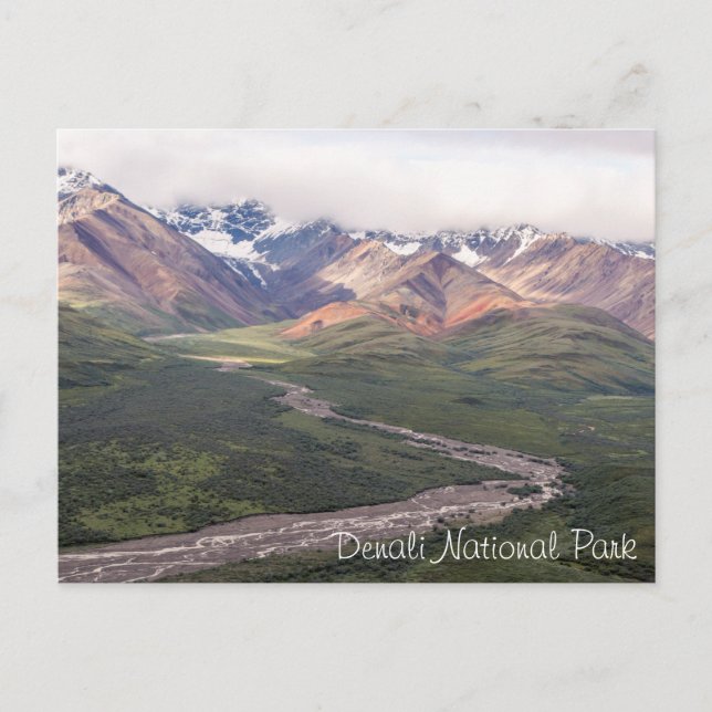 Nationalpark Denali - Alaska | Postkarte (Vorderseite)