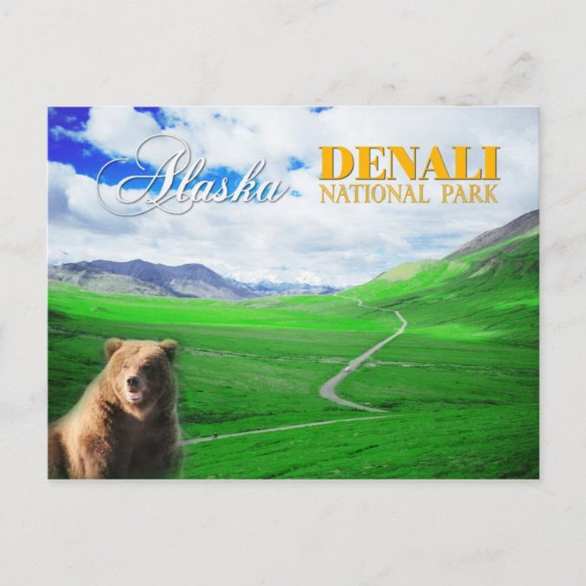 Nationalpark Denali, Alaska Postkarte (Vorderseite)
