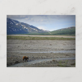 Nationalpark Denali und Schutzgebiet Alaska Postkarte