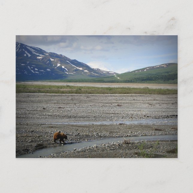 Nationalpark Denali und Schutzgebiet Alaska Postkarte (Vorderseite)