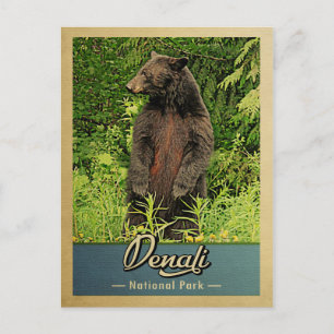 Nationalpark Denali Vintag Bear Postkarte