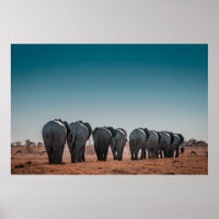 NATIONALPARK ETOSHA