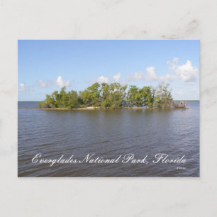 Nationalpark Everglades, Florida Postkarte