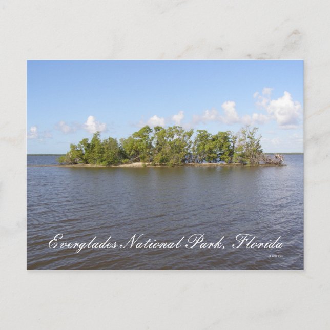 Nationalpark Everglades, Florida Postkarte (Vorderseite)
