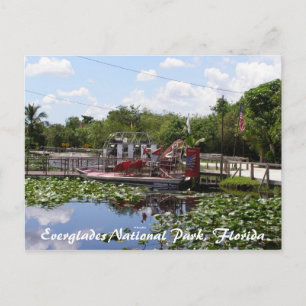Nationalpark Everglades, Florida Postkarte