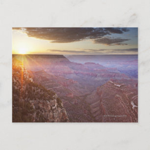 Nationalpark Grand Canyon in Arizona Postkarte
