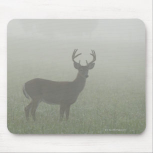 Nationalpark Great Smoky Mountains, Tennesse, Mousepad