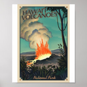 Nationalpark Hawaii Poster
