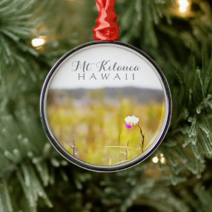 Nationalpark Hawaii Tropical Orchid Ornament Aus Metall