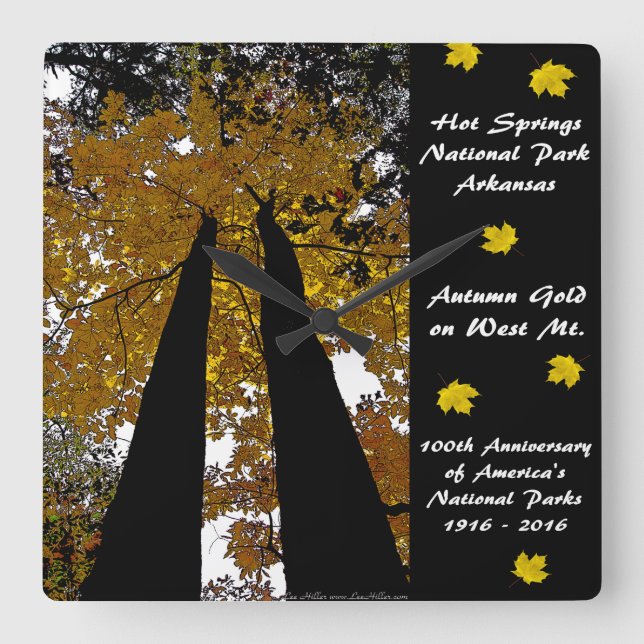 Nationalpark-hundertjähriges Quellen-Herbst-Gold Quadratische Wanduhr (Vorderseite)