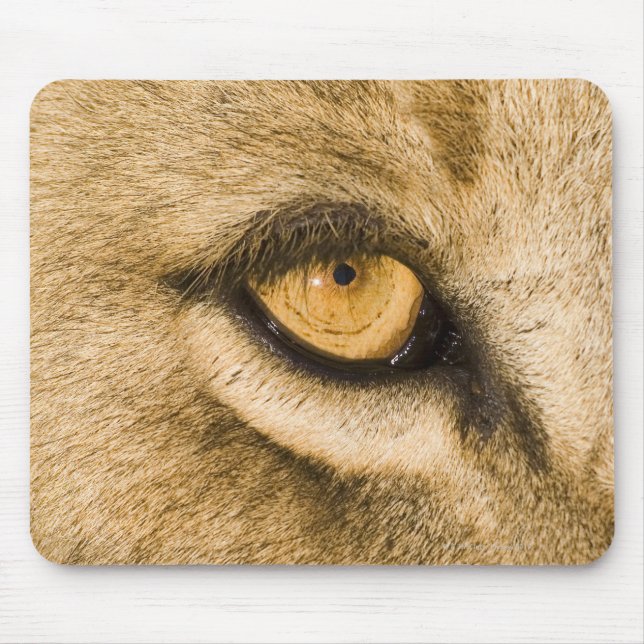 Nationalpark Kruger, Provinz Limpopo Mousepad (Vorne)
