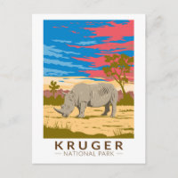 Nationalpark Kruger Rhinoceros