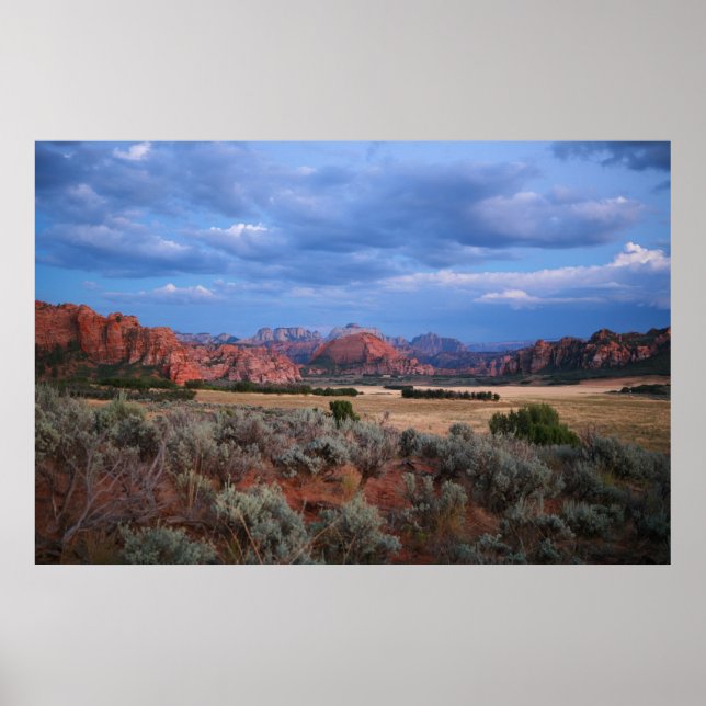 Nationalpark Poster (Vorne)