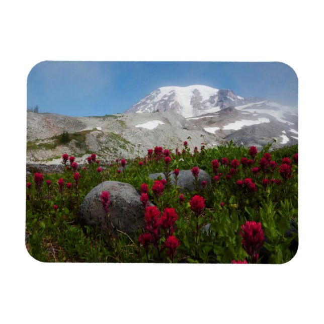 Nationalpark Rainier, Berg Rainier 1 Magnet (Horizontal)
