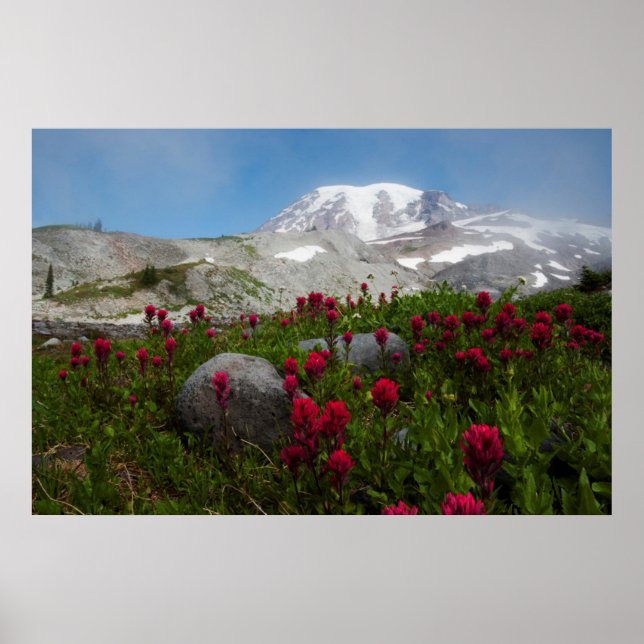 Nationalpark Rainier, Berg Rainier 1 Poster (Vorne)