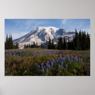 Nationalpark Rainier, Berg Rainier 3 Poster