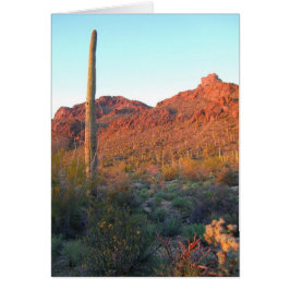 Nationalpark Saguaro