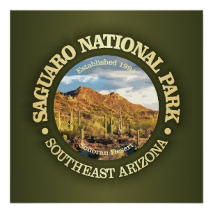 Nationalpark Saguaro (NP2) Poster