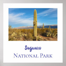 Nationalpark Saguaro