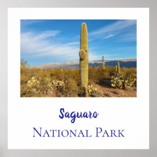 Nationalpark Saguaro Poster