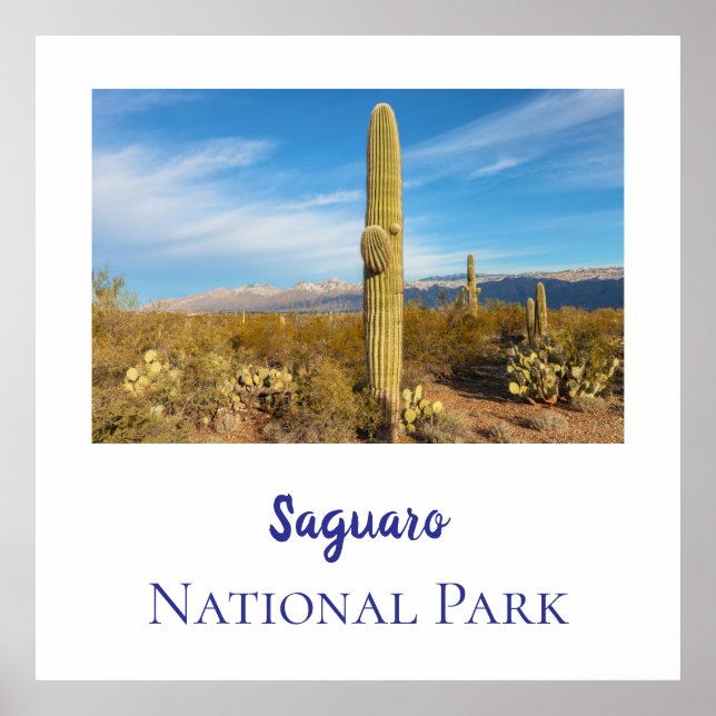 Nationalpark Saguaro Poster (Vorne)