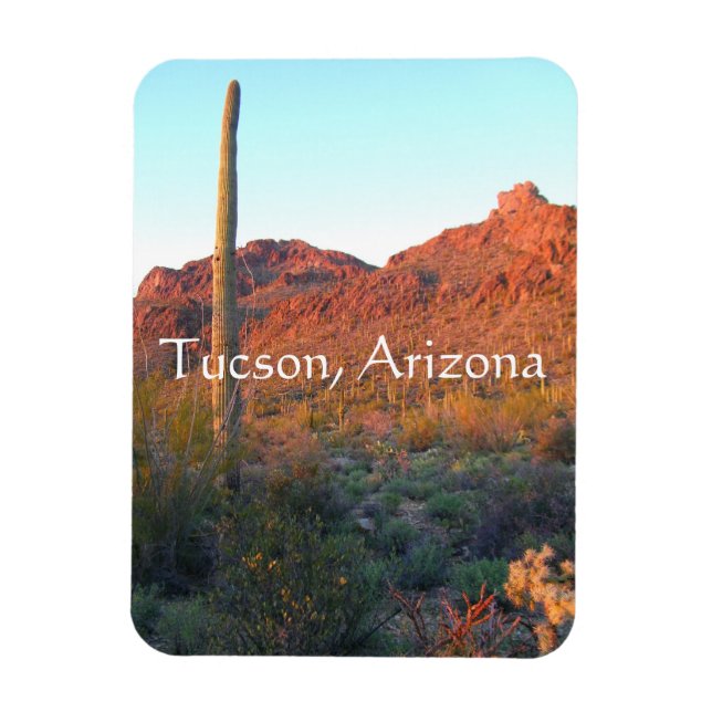 Nationalpark Saguaro, Tucson Arizona Magnet (Vertikal)
