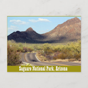 Nationalpark Saguaro, Tuscon Arizona Postkarte