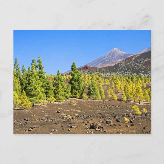 Nationalpark Teide Landschaft Teneriffa Postkarte (Vorderseite)