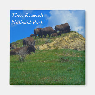 Nationalpark Theodore Roosevelts Nd-Magnet Magnet