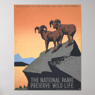 Nationalpark Unbearbeitete Vintage-Fotos Alte Ästh Poster