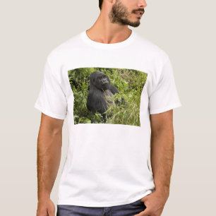 Nationalpark Vulkane, Gorilla T-Shirt