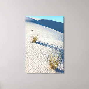 Nationalpark White Sands Landschaft Leinwanddruck