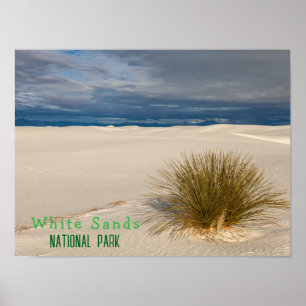 Nationalpark White Sands Poster
