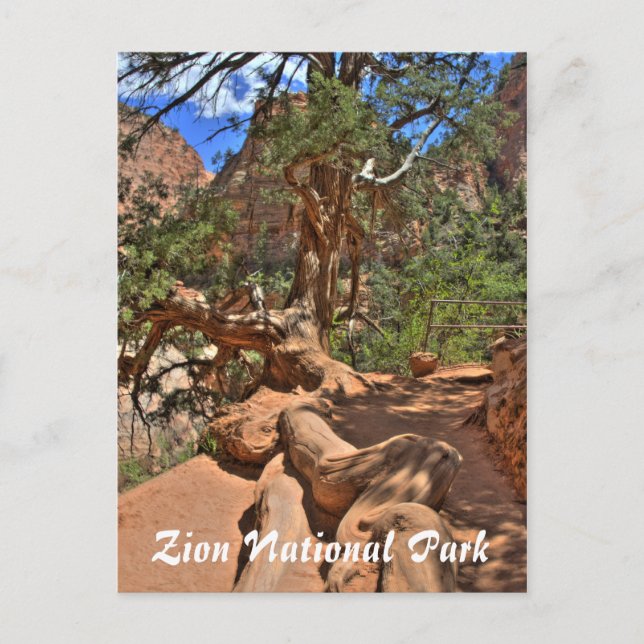 Nationalpark Zion, Utah Postcard Postkarte (Vorderseite)