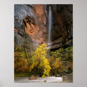 Nationalpark Zion, Utah. USA. Ephemal Poster