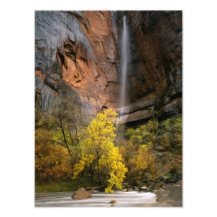 Nationalpark Zion, Utah. USA. Ephemonie Fotodruck