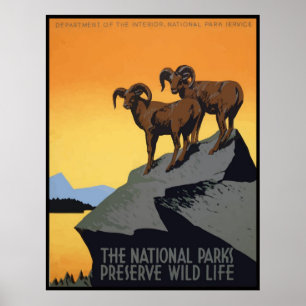 Nationalparks Erhaltung des Wilden Lebens Poster