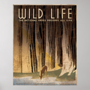Nationalparks im Wild-Life-Bereich bewahren Leben Poster