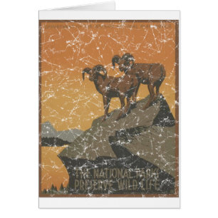 Nationalparks - Mutterziegen - Not