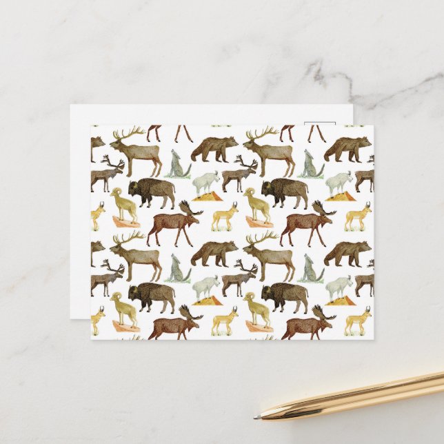 Nationalparks Wildlife Postcard Postkarte (Vorderseite/Rückseite Beispiel)