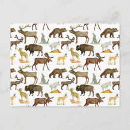 Nationalparks Wildlife Postcard Postkarte