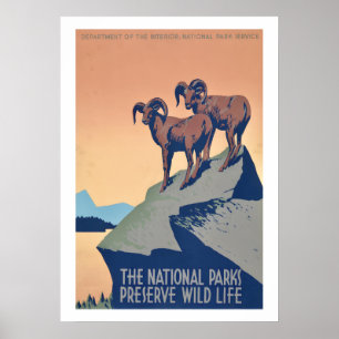 Nationalparks-Wildlife-Poster Poster
