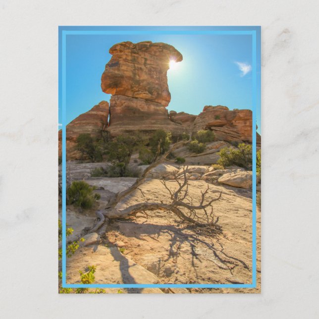 Nationalparktag! Postkarte (Vorderseite)