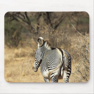 Nationalreservat Samburu, Kenia Mousepad
