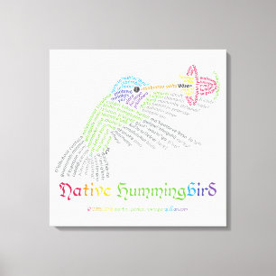 Native Hummingbird Canvas Print Leinwanddruck