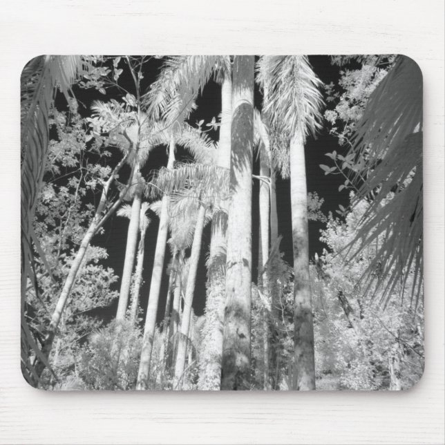 Native Royal Palms in Fakahatchee Strand Mousepad (Vorne)