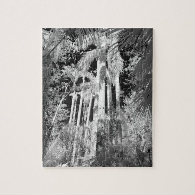 Native Royal Palms in Fakahatchee Strand Puzzle (Vertikal)