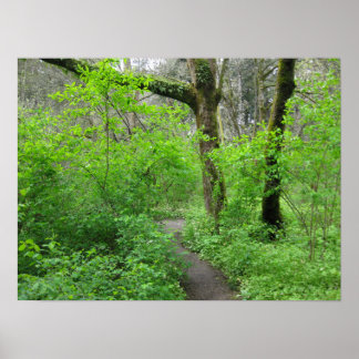 Natur-Bahn-Plakat Poster